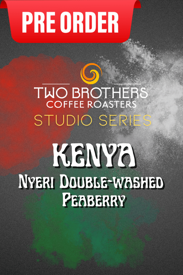 Studio Series - PRE-ORDER - Kenya Nyeri Double-Washed Peaberry