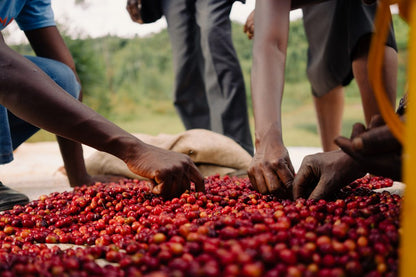Burundi Natural Bukeye