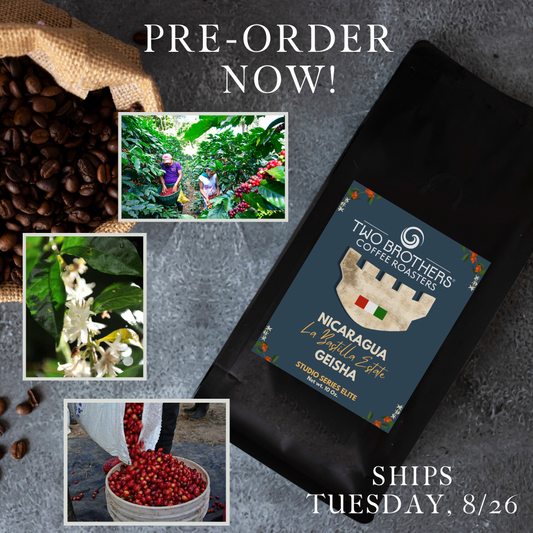 PRE-ORDER - Nicaragua Geisha La Bastilla Estate