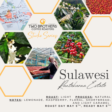 Studio Series - PRE-ORDER - Sulawesi Rantekarua Estate